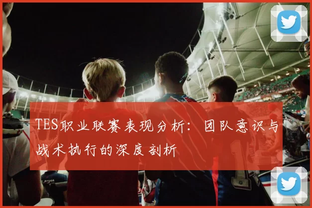 TES职业联赛表现分析:团队意识与战术执行的深度剖析