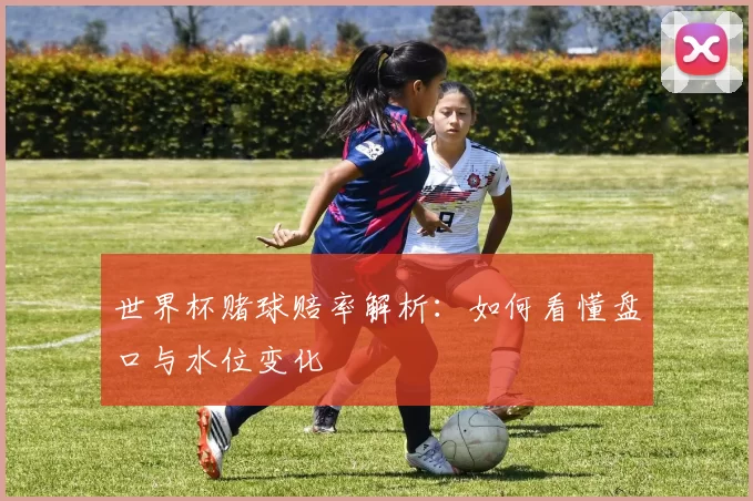 世界杯赌球赔率解析:如何看懂盘口与水位变化