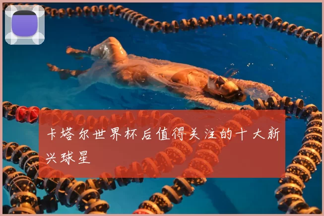 卡塔尔世界杯后值得关注的十大新兴球星