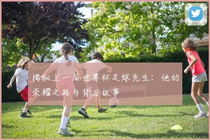 揭秘上一届世界杯足球先生：他的荣耀之路与背后故事