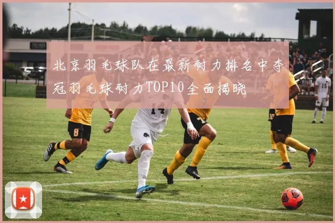 北京羽毛球队在最新耐力排名中夺冠羽毛球耐力TOP10全面揭晓