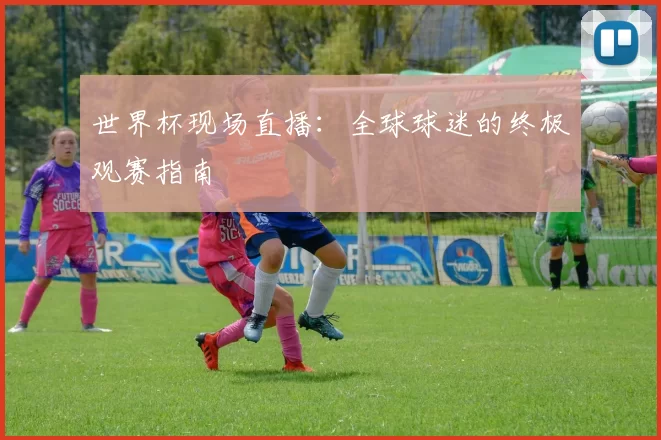 世界杯现场直播：全球球迷的终极观赛指南
