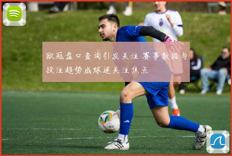 欧冠盘口查询引发关注 赛事数据与投注趋势成球迷关注焦点