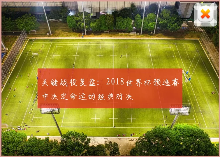 关键战役复盘:2018世界杯预选赛中决定命运的经典对决
