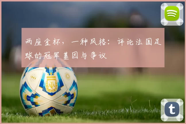 两座金杯，一种风格：评论法国足球的冠军基因与争议