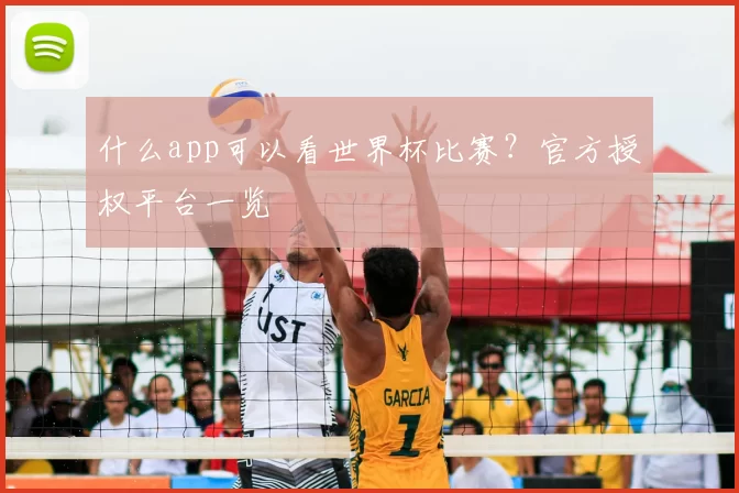 什么app可以看世界杯比赛？官方授权平台一览