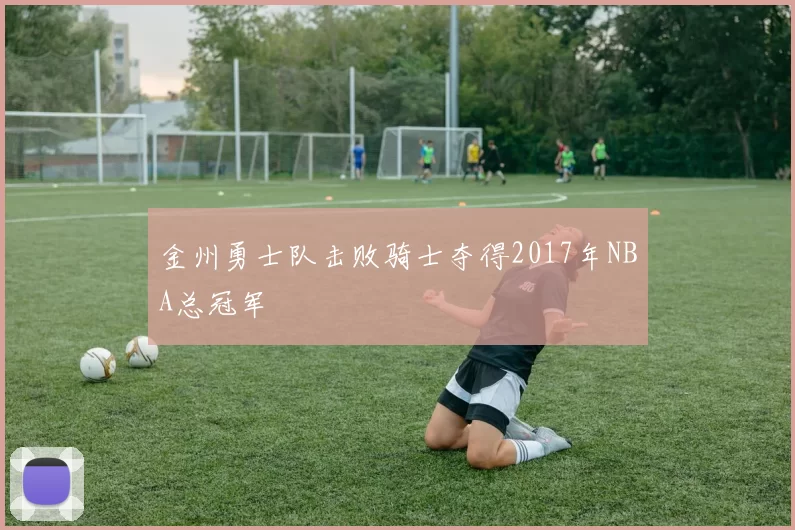 金州勇士队击败骑士夺得2017年NBA总冠军