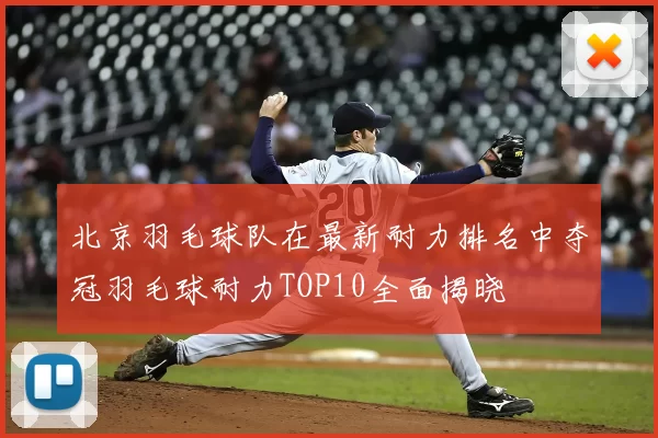 北京羽毛球队在最新耐力排名中夺冠羽毛球耐力TOP10全面揭晓