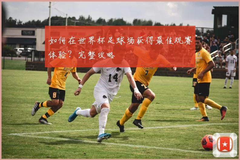 如何在世界杯足球场获得最佳观赛体验?完整攻略