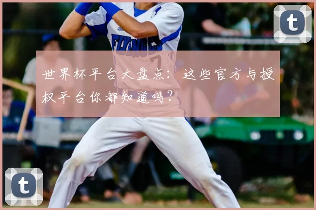 世界杯平台大盘点：这些官方与授权平台你都知道吗？
