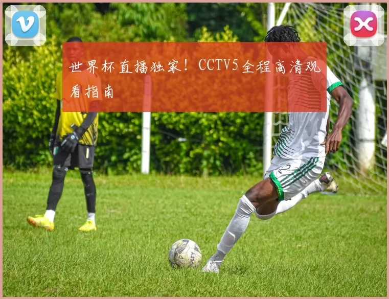 世界杯直播独家！CCTV5全程高清观看指南