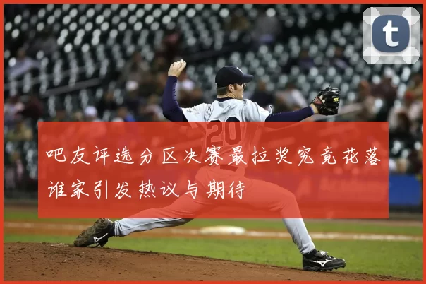 吧友评选分区决赛最拉奖究竟花落谁家引发热议与期待