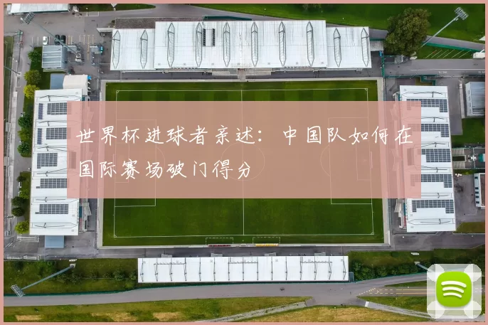 世界杯进球者亲述:中国队如何在国际赛场破门得分