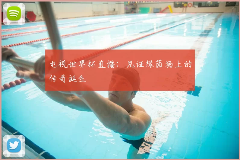 电视世界杯直播：见证绿茵场上的传奇诞生